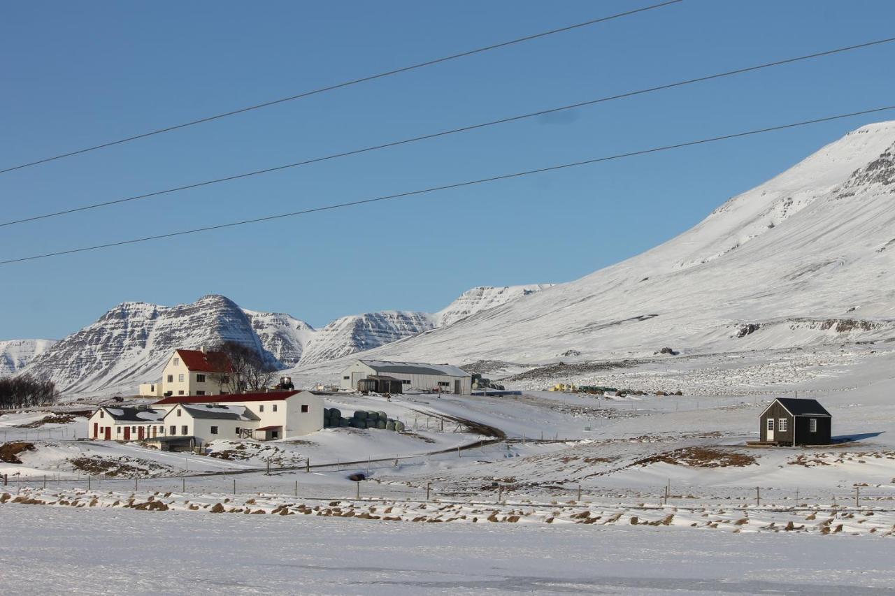 Solheimagerthi Guesthouse Varmahlid  Eksteriør bilde